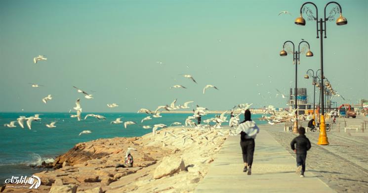 جاهای دیدنی بوشهر | از بازار قدیمی تا گنبد نمکی جاشک و سواحل خلیج فارس