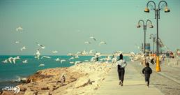 جاهای دیدنی بوشهر | از بازار قدیمی تا گنبد نمکی جاشک و سواحل خلیج فارس