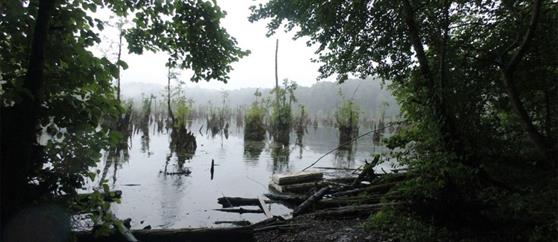 ترسناک ترین مقصدهای گردشگری در ایران