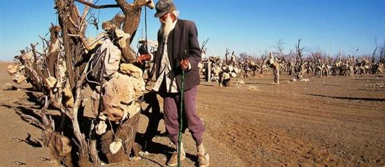 آیا می دانید در ایران باغی با میوه های سنگی وجود دارد؟