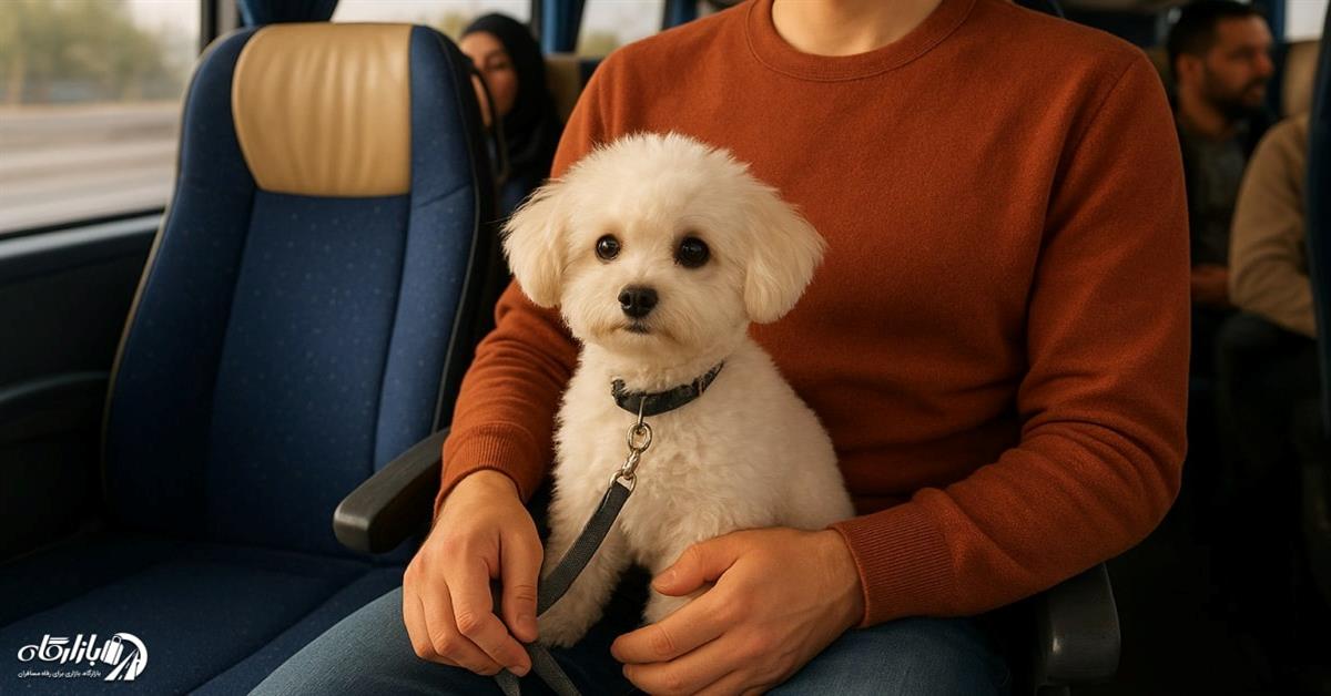 راهنمای حمل حیوان خانگی با اتوبوس، قطار و هواپیما