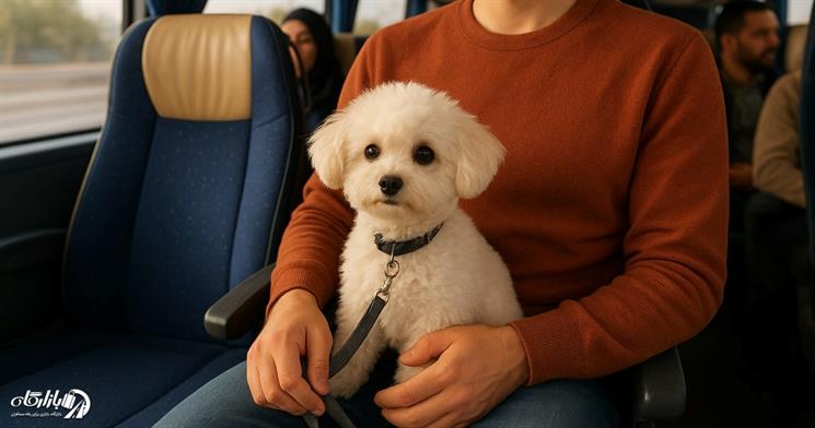 راهنمای حمل حیوان خانگی با اتوبوس، قطار و هواپیما