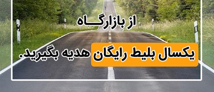 یکسال رایگان سفر کن!