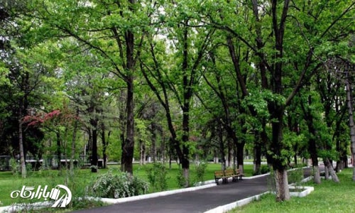 پارک جنگلی آتاتورک از جاهای دیدنی آنکارا