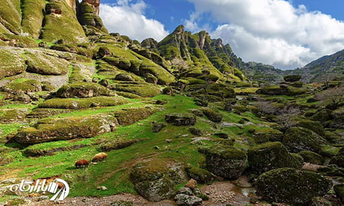  مخمل کوه از جمله جاهای دیدنی خرم آباد با طبیعتی سرسبز