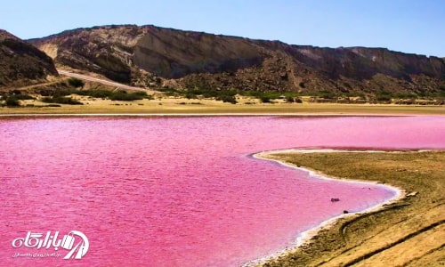 در فهرست جاهای دیدنی چابهار تالاب صورتی با پرندگان مهاجر